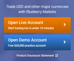 Blueberry markets demo account