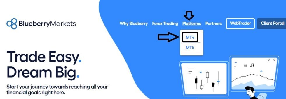 Blueberry markets mt4 download